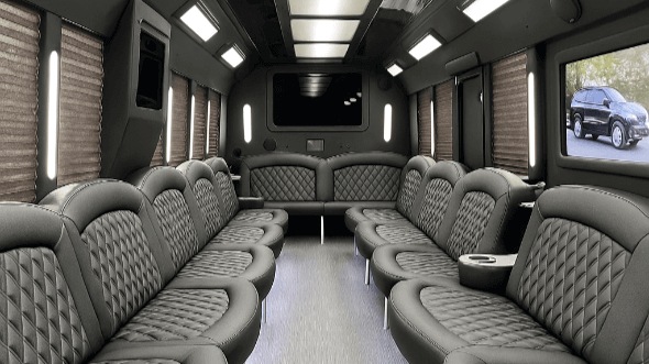 marietta 20 passenger party bus